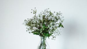 Preview wallpaper wildflowers, flowers, bouquet, minimalism, white