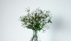 Preview wallpaper wildflowers, flowers, bouquet, minimalism, white