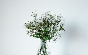 Preview wallpaper wildflowers, flowers, bouquet, minimalism, white