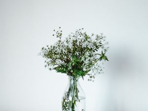 Preview wallpaper wildflowers, flowers, bouquet, minimalism, white