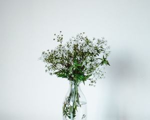 Preview wallpaper wildflowers, flowers, bouquet, minimalism, white