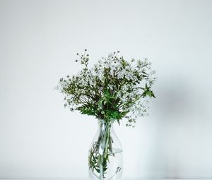 Preview wallpaper wildflowers, flowers, bouquet, minimalism, white