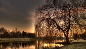Preview wallpaper willow, autumn, lake, evening