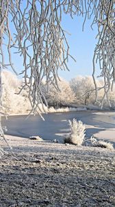 Preview wallpaper willow, snow, river, winter, hoarfrost