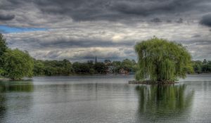 Preview wallpaper willow, trees, clouds, sky, coast