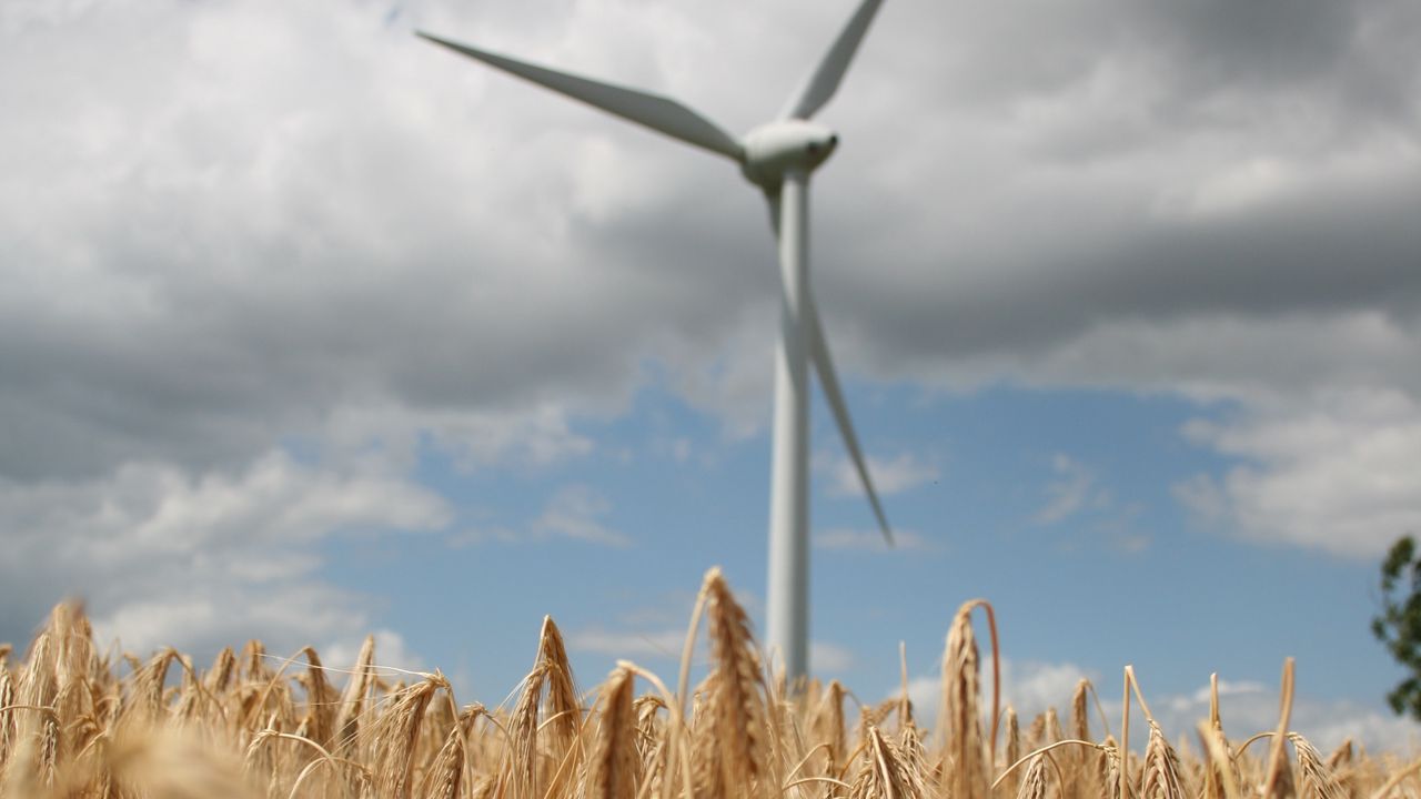 Wallpaper wind farm, turbine, field, wheat, spikelets