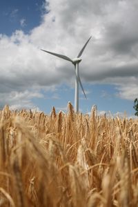 Preview wallpaper wind farm, turbine, field, wheat, spikelets