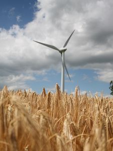 Preview wallpaper wind farm, turbine, field, wheat, spikelets