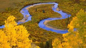 Preview wallpaper winding creek, gunnison national forest, colorado, loop, river, trees, wood, autumn, bends