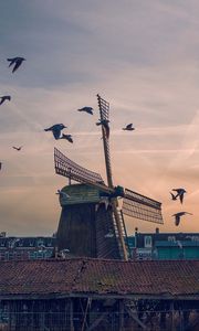 Preview wallpaper windmill, birds, buildings, sky