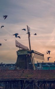 Preview wallpaper windmill, birds, buildings, sky