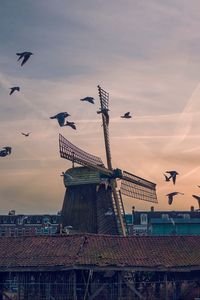 Preview wallpaper windmill, birds, buildings, sky