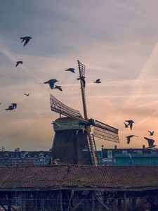 Preview wallpaper windmill, birds, buildings, sky