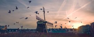 Preview wallpaper windmill, birds, buildings, sky