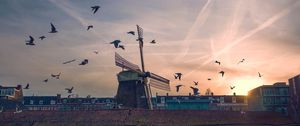 Preview wallpaper windmill, birds, buildings, sky