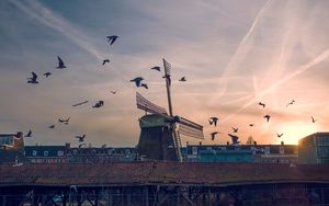 Preview wallpaper windmill, birds, buildings, sky