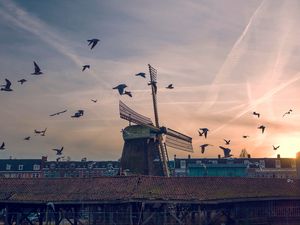 Preview wallpaper windmill, birds, buildings, sky