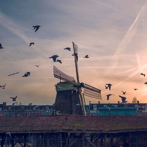 Preview wallpaper windmill, birds, buildings, sky