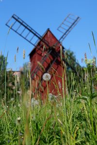 Preview wallpaper windmill, dandelions, flowers, fluff, grass