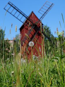 Preview wallpaper windmill, dandelions, flowers, fluff, grass