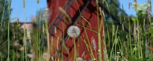 Preview wallpaper windmill, dandelions, flowers, fluff, grass