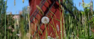 Preview wallpaper windmill, dandelions, flowers, fluff, grass