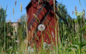 Preview wallpaper windmill, dandelions, flowers, fluff, grass