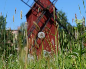 Preview wallpaper windmill, dandelions, flowers, fluff, grass