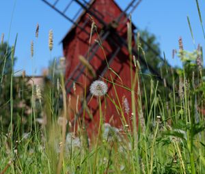 Preview wallpaper windmill, dandelions, flowers, fluff, grass