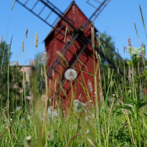 Preview wallpaper windmill, dandelions, flowers, fluff, grass