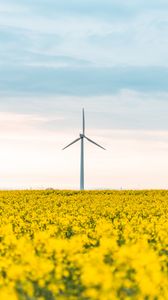 Preview wallpaper windmill, flowers, field, landscape