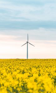 Preview wallpaper windmill, flowers, field, landscape