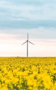 Preview wallpaper windmill, flowers, field, landscape