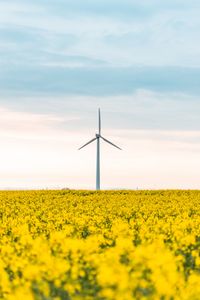 Preview wallpaper windmill, flowers, field, landscape