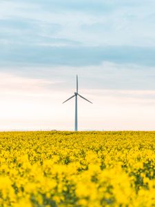 Preview wallpaper windmill, flowers, field, landscape