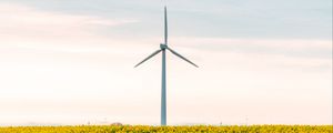 Preview wallpaper windmill, flowers, field, landscape