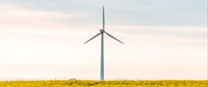 Preview wallpaper windmill, flowers, field, landscape