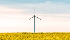 Preview wallpaper windmill, flowers, field, landscape