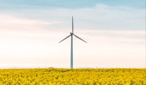 Preview wallpaper windmill, flowers, field, landscape