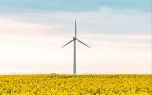 Preview wallpaper windmill, flowers, field, landscape