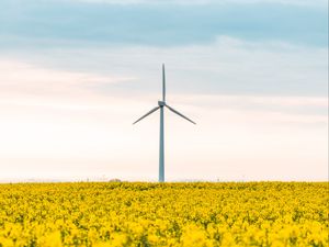 Preview wallpaper windmill, flowers, field, landscape