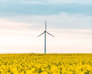 Preview wallpaper windmill, flowers, field, landscape