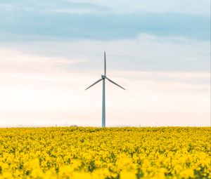 Preview wallpaper windmill, flowers, field, landscape