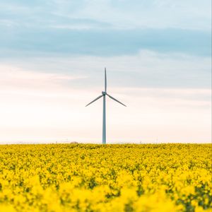 Preview wallpaper windmill, flowers, field, landscape