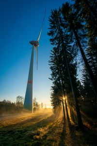 Preview wallpaper windmill, forest, fog, sunrise