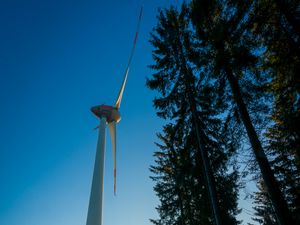 Preview wallpaper windmill, forest, fog, sunrise