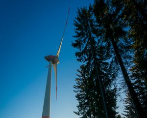 Preview wallpaper windmill, forest, fog, sunrise