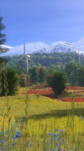 Preview wallpaper windmills, flowers, trees, grass, art, home, summer, mountains