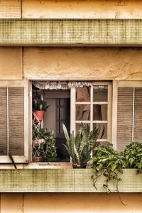 Preview wallpaper window, balcony, flowers