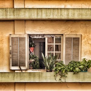 Preview wallpaper window, balcony, flowers